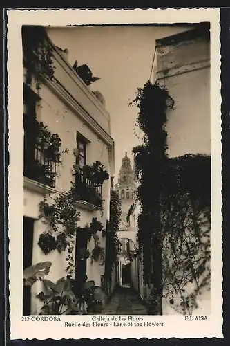 AK Cordoba, Calleja de las Flores