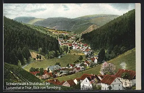 AK Luisenthal /Thür., Ortsansicht mit Schwarzwald & Strutzhaus, Blick vom Turmberg