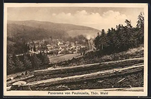AK Paulinzella /Thür. Wald, Panorama mit Wald