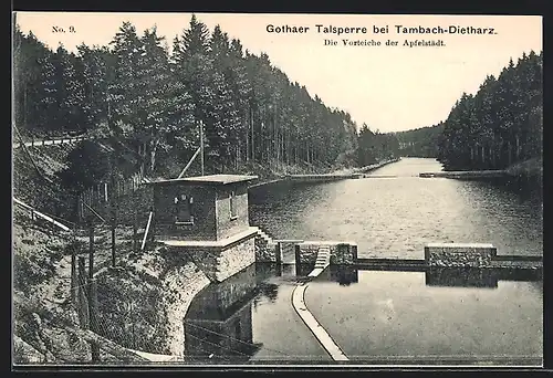 AK Tambach-Dietharz, Gothaer Talsperre, die Vorteiche der Apfelstädt