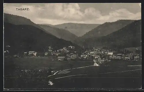 AK Tabarz, Ortsansicht mit Bergen