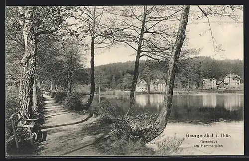 AK Georgenthal, Promenade am Hammerteich