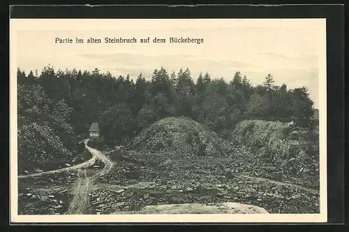 AK Obernkirchen, Partie im alten Steinbruch auf dem Bückeberge