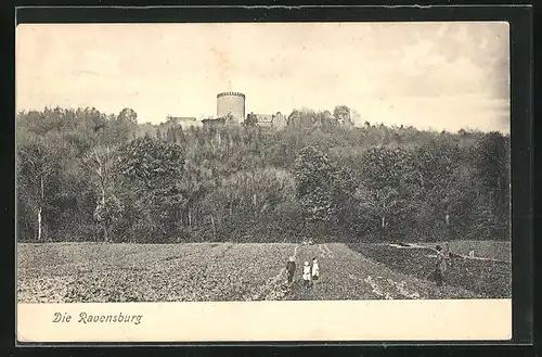 AK Borgholzhausen, Blick auf die Ravensburg