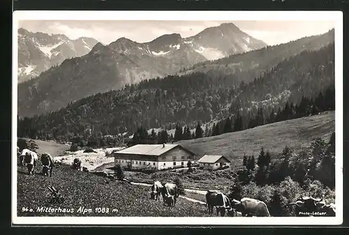 AK Hindelang, Blick von der Kuhweide auf die Mitterhaus-Alpe