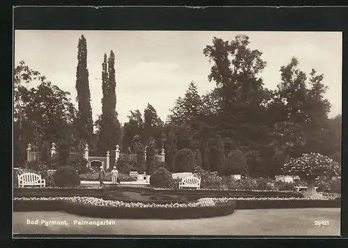 AK Bad Pyrmont, Ansicht vom Palmengarten