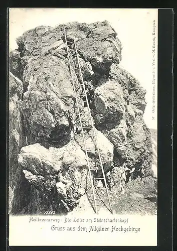 AK Oberstdorf i. Allgäu, Bergsteigen am Heilbronnerweg, Die Leiter am Steinschartenkopf