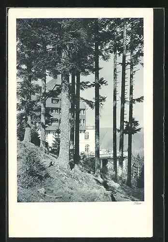 AK Wildbad, Sommerberghotel durch Bäume gesehen