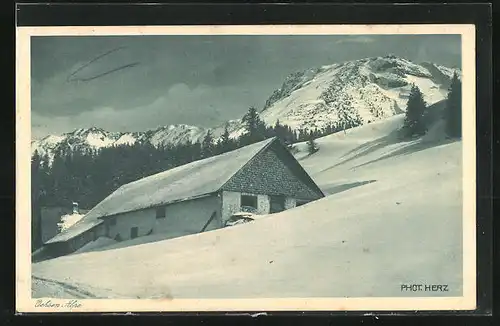 AK Bad Oberdorf im bayer. Allgäu, Gasthaus Ochsen Alpe im Schnee