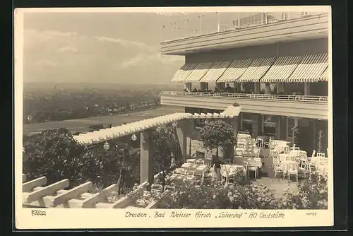 Foto-AK Walter Hahn, Dresden, Nr. 10795: Dresden, Bad Weisser Hirsch, Blick von der Terrasse des Gasthauses Luisenhof