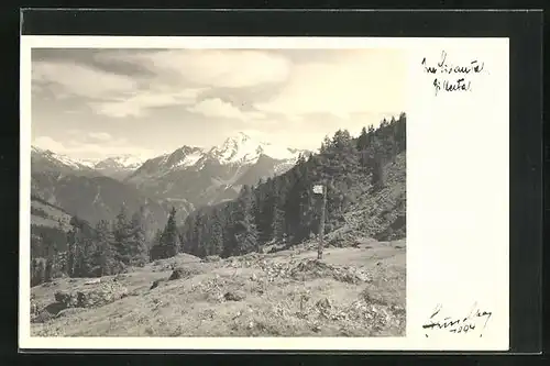 Foto-AK Hans Hruschka Nr. 1294: im Lidautal, Zillertal