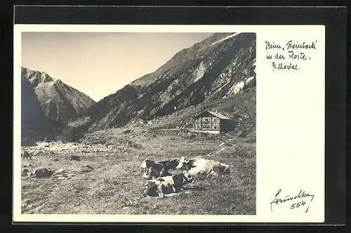 Foto-AK Hans Hruschka Nr. 554: Beim Steinbock in der Floite, Zillertal