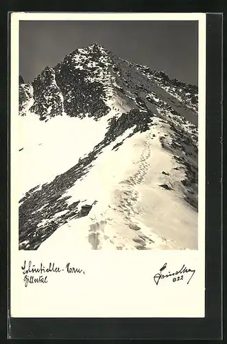 Foto-AK Hans Hruschka Nr. 822: Schönbichler Horn, Zillertal