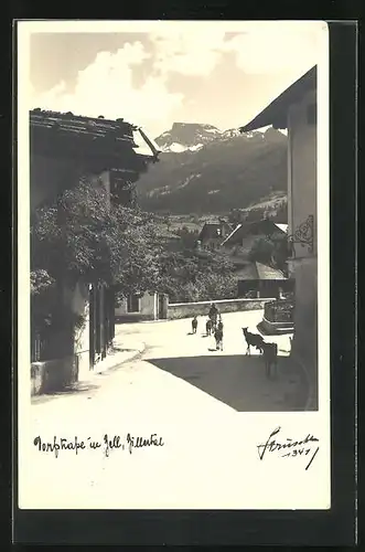 Foto-AK Hans Hruschka Nr. 1341: Zell / Zillertal, Dorfstrasse und Mann mit Ziegen