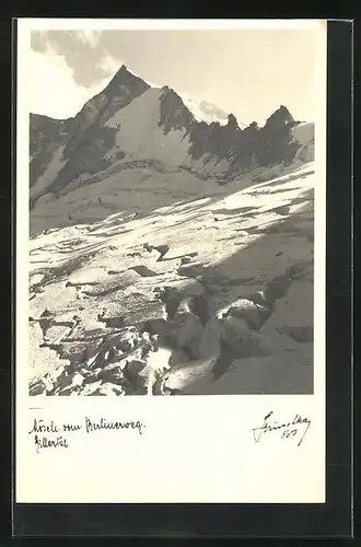 Foto-AK Hans Hruschka Nr. 807: Mosele vom Berlinerweg, Zillertal