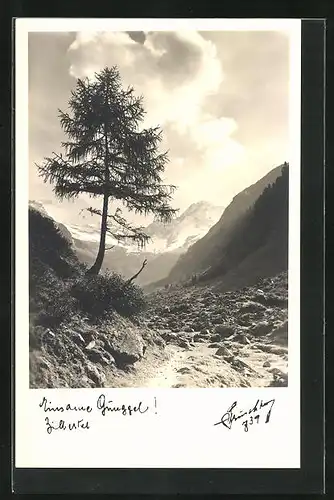 Foto-AK Hans Hruschka Nr. 739: Eingame Gunggel, Zillertal