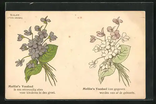 Ausmal-AK Mellin's Voedsel, Blumenstrauss