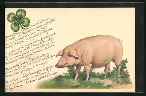 AK Neujahrsgruss mit Schwein und Kleeblatt