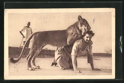 AK Niafunké, Fafou jeune lion apprivoisé adore jouer avec son maître, Dompteur und Löwe