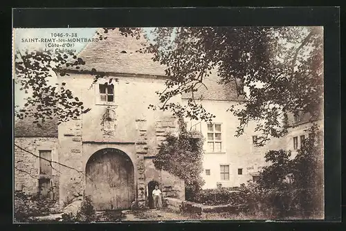 AK Saint-Remy-les-Montbard, Le Chateau
