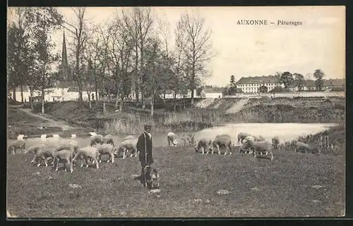 AK Auxonne, Paturages