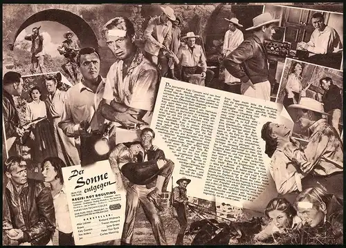 Filmprogramm IFB Nr. 3691, Der Sonne entgegen, Richard Widmark, Revor Howard, Jane Greer, Regie Roy Boulting