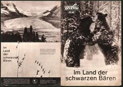 Filmprogramm PFP Nr. 18 /65, Im Land der schwarzen Bären, Eugen Schuhmacher, Erich Bender