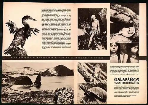 Filmprogramm PFP Nr. 32 /64, Galapagos Trauminseln im Pazifik, Georg Theilacker, Robert Graf, Regie Heinz Sielmann