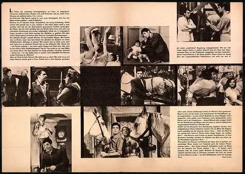 Filmprogramm PFP Nr. 38 /64, Zwei Mann und ein Pferd, Roger Pierre, Louisette Rousseau, Regie Jean-Marc Thibault