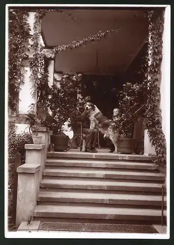 Fotografie Ansicht Güstrow, Hund auf Terrasse vom Haus August Haackert