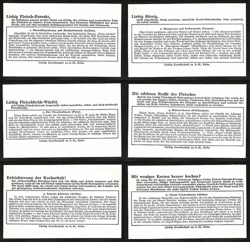 6 Sammelbilder Liebig, Serie Nr.: 1306, Merkwürdige Bäume, Riesenfeigenbaum, Cissus, senecio, Bajonettbaum, Flaschenbaum