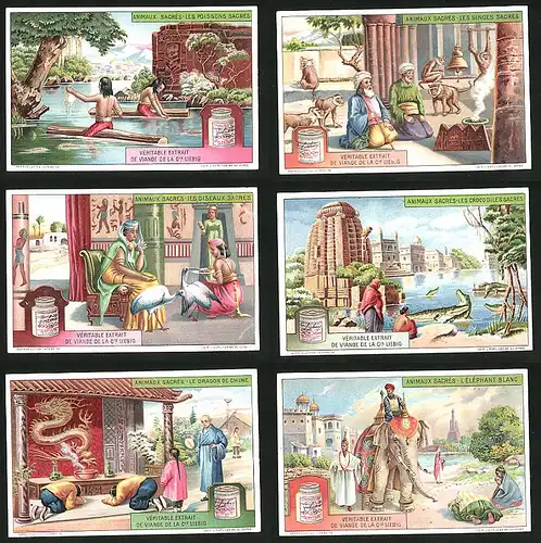 6 Sammelbilder Liebig, Serie Nr.: 1134, Animaux Sacrés, Elephant, Croco, Dragon, Affen, Schlangen, Oiseaux