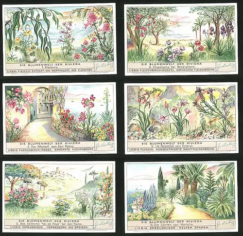 6 Sammelbilder Liebig, Serie Nr.: 1354, Die Blumenwelt von Riviera, Mortola, San Remo, Esterel, Bordighera, Mentone