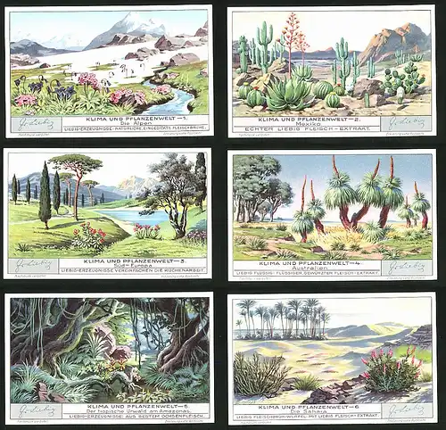 6 Sammelbilder Liebig, Serie Nr.: 1277, Klima und Pflanzenwelt, Sahara, Urwald, Amazonas, Australien, Süd-Europa, Alpen