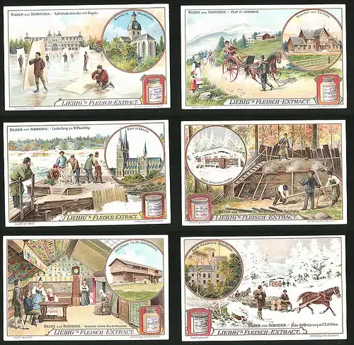 6 Sammelbilder Liebig, Serie Nr.: 869, Bilder aus Schweden, Schlitten, Schnee, Bauernhaus, Holzkohle, Elfkarleby, Lachs