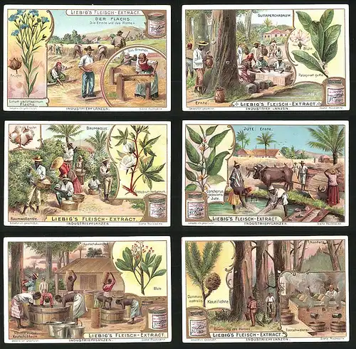 6 Sammelbilder Liebig, Serie Nr. 707: Industriepflanzen, Jute, Teer, Flachs, Ernte