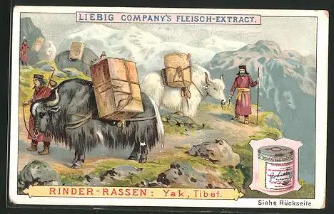 Sammelbild Liebig, Rinder-Rassen, Yak in Tibet