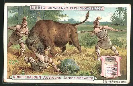 Sammelbild Liebig, Rinder-Rassen, Auerochs aus germanischer Vorzeit