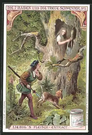 Sammelbild Liebig, Fleisch-Extrakt, die 7 Raben und die treue Schwester No. 3, Jäger mit Hund trifft auf Frau im Baum