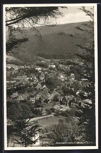AK Sitzendorf, Blick vom Thüringer Wald auf die Ortschaft