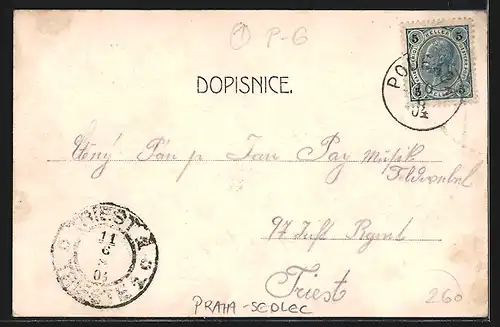 AK Prag / Praha-Sedlec, Panorama