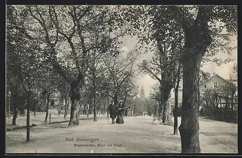 AK Bad Wildungen, Brunnenallee, Blick zur Stadt