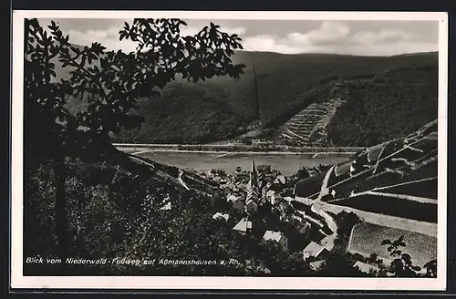 AK Assmannshausen a. Rh., Blick vom Niederwald-Fussweg