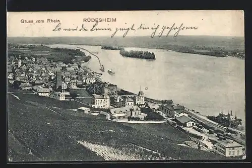 AK Rüdesheim /Rhein, Teilansicht