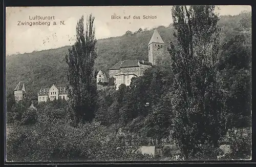 AK Zwingenberg, Blick auf das Schloss