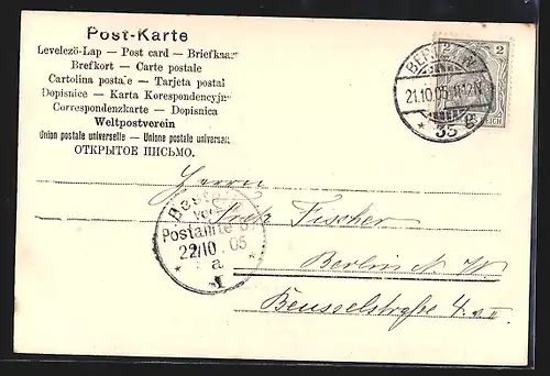 AK Berlin, Rousseau-Insel im Tiergarten