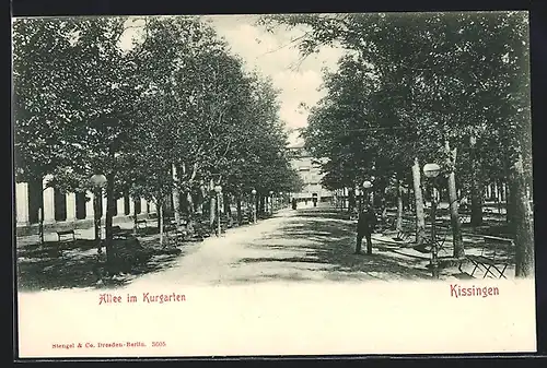 AK Kissingen, Allee im Kurgarten