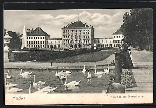 AK München, Königliches Schloss Nymphenburg mit Schwänen