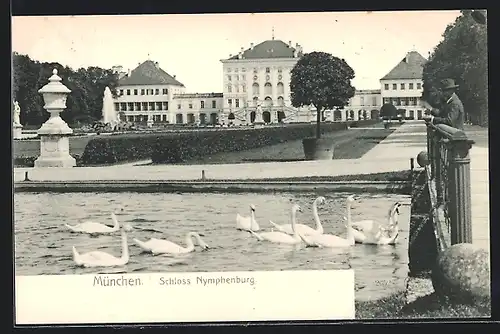 AK München-Nymphenburg, Schloss Nymphenburg, Schwäne