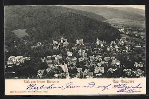 AK Bad Harzburg, Blick vom kleinen Burgberge auf den Ort